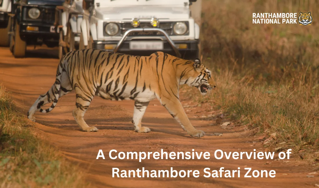 Ranthambore safari zone