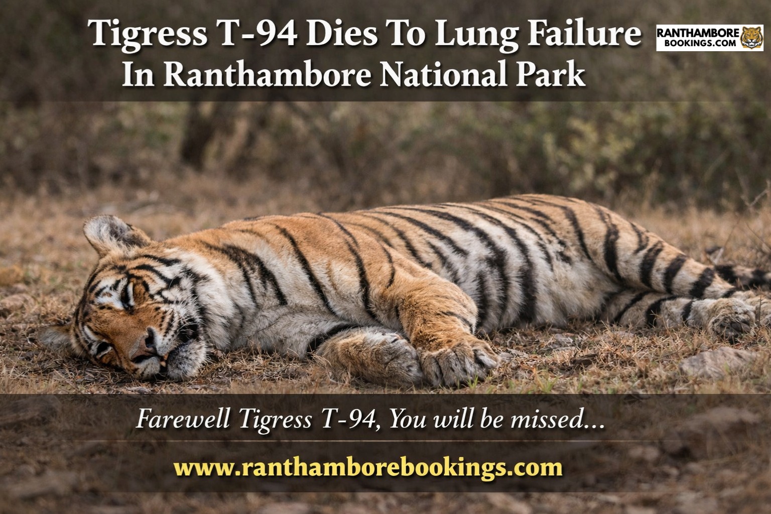 Tigress T-94 Dies To Lung Failure