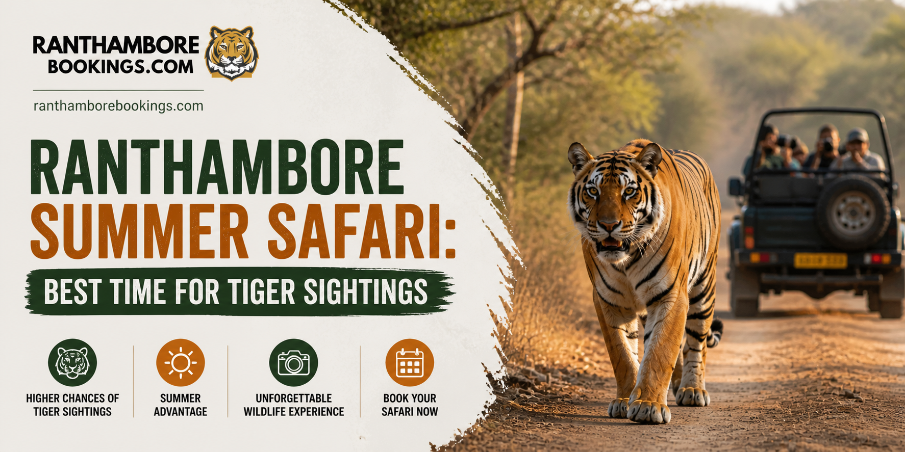 Ranthambore Summer Safari : Best Time for Tiger Sightings